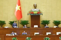 Phó Chủ tịch Quốc hội Vũ Hồng Thanh phát biểu. (Ảnh: Doãn Tấn/TTXVN)