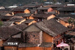 Những cây hoa đào nở rộ ở thôn Lô Lô Chải. (Ảnh: Khánh Hòa/TTXVN)