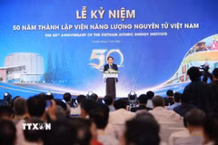 Phó Thủ tướng Hồ Quốc Dũng phát biểu chỉ đạo. (Ảnh: Hoàng Hiếu/TTXVN)
