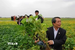 Giáo sư, Viện sỹ Trần Đình Long với thành tựu nghiên cứu của mình. (Ảnh: Diệu Thúy/TTXVN)