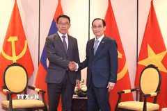 Bộ trưởng Bộ Ngoại giao Lê Hoài Trung tiếp Trưởng ban Đối ngoại Trung ương Đảng Nhân dân Cách mạng Lào Bounleua Phandanouvong. (Ảnh: An Đăng/TTXVN)