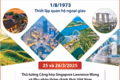 Quan hệ Đối tác Chiến lược Toàn diện Việt Nam-Singapore