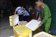 Cận cảnh kho chứa hàng nghìn chân gà, xúc xích, nem chua không rõ nguồn gốc