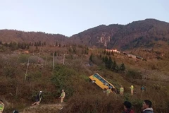 Hiện trường vụ tai nạn. (Nguồn: Facebook Ninh Bình 24h Online)