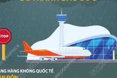Cảng Vân Đồn và Cát Bi tạm dừng khai thác bay để tránh bão số 3
