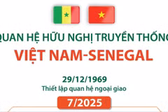 Quan hệ hữu nghị truyền thống Việt Nam-Senegal