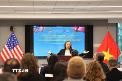 Giáo sư Nguyễn Thị Liên Hằng, Giám đốc Viện Nghiên cứu Đông Á Weatherhead (Đại học Columbia, Mỹ) phát biểu tại hội thảo. (Ảnh: Ngọc Quang/TTXVN)