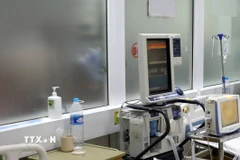 (Ảnh minh họa: Văn Tý/TTXVN)