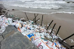 Các bao cát được chèn vào các khu vực nước biển xâm thực để hạn chế sạt lở. (Ảnh minh họa: Trần Lê Lâm/TTXVN)