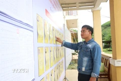 Cử tri tìm hiểu thông tin về các ứng cử viên đại biểu Quốc hội và HĐND các cấp. (Ảnh: Võ Văn Dũng/TTXVN)