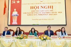 Các ứng cử viên Đại biểu Quốc hội khóa XVI tiếp xúc cử tri tại Đơn vị bầu cử số 5. (Ảnh: Vũ Hà/TTXVN)