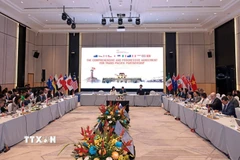 Phiên họp quan chức cấp cao Hiệp định CPTPP lần thứ nhất. (Ảnh: Trần Việt/TTXVN)