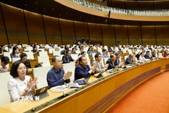Đại biểu Quốc hội biểu quyết thông qua các luật, nghị quyết. (Ảnh: Doãn Tấn/TTXVN)