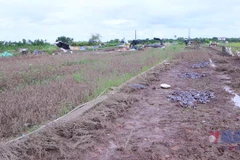 Người trồng hoa tại Ninh Bình tất bật cào bùn, xuống giống sau khi nước rút