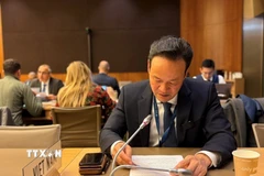 Đại sứ Mai Phan Dũng phát biểu tại phiên họp. (Ảnh: TTXVN phát)