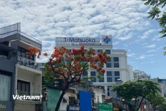 Đường phố Hà Nội. (Nguồn: Vietnam+)
