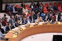 Đại diện Venezuela (hàng đầu, ngoài cùng bên trái) tham dự phiên họp khẩn của Hội đồng Bảo an. (Ảnh: Thanh Tuấn/TTXVN)