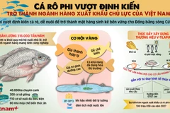 Cá rô phi vượt định kiến, trở thành mặt hàng xuất khẩu chủ lực