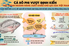 Cá rô phi vượt định kiến, trở thành mặt hàng xuất khẩu chủ lực