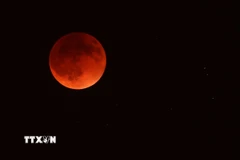 Hiện tượng "Trăng máu" trên bầu trời Modi'in, Israel, ngày 7/9/2025. (Ảnh: THX/TTXVN)
