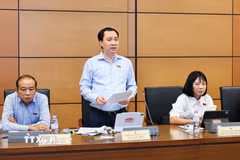 Đại biểu Quốc hội thành phố Hải Phòng Vũ Văn Tiến phát biểu ý kiến. (Ảnh: Doãn Tấn/TTXVN)