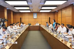 Đoàn đại biểu Quốc hội TP Hồ Chí Minh thảo luận ở tổ. (Ảnh: Doãn Tấn/TTXVN)