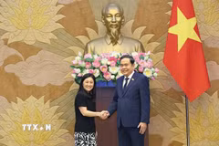 Chủ tịch Quốc hội Trần Thanh Mẫn tiếp Đại sứ Hoa Kỳ tại Việt Nam Jennifer Wicks. (Ảnh: Doãn Tấn/ TTXVN)