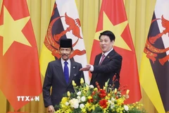 Chủ tịch nước Lương Cường và Quốc vương Brunei Darussalam Haji Hassanal Bolkiah. (Ảnh: Lâm Khánh/TTXVN)