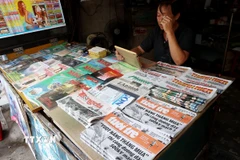 (Ảnh minh họa: Hồng Đạt/TTXVN)