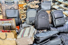 (Ảnh minh hoaj: TTXVN phát)