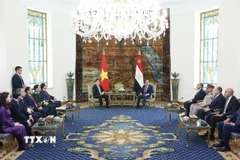 Chủ tịch nước Lương Cường hội đàm chính thức với Tổng thống Ai Cập Abdel Fattah El-Sisi. (Ảnh: Lâm Khánh/TTXVN)