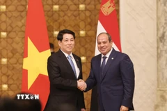 Chủ tịch nước Lương Cường và Tổng thống Ai Cập Abdel Fattah El-Sisi tại cuộc gặp gỡ báo chí, thông tin về kết quả hội đàm. (Ảnh: Lâm Khánh/TTXVN)