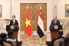Chủ tịch nước Lương Cường và Tổng thống Ai Cập Abdel Fattah El-Sisi gặp gỡ báo chí, thông báo kết quả hội đàm. (Ảnh: Lâm Khánh/TTXVN)