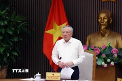 Phó Thủ tướng Thường trực Nguyễn Hòa Bình phát biểu chỉ đạo. (Ảnh: Phạm Kiên/TTXVN)