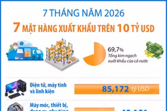 7 tháng năm 2026: 7 mặt hàng xuất khẩu trên 10 tỷ USD