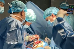 Ca phẫu thuật được các bác sĩ Bệnh viện Quân y 175 thực hiện ngay tại đặc khu Trường Sa. (Ảnh: TTXVN phát)