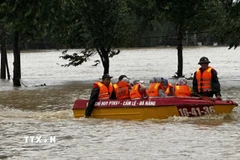 Lực lượng chức năng dùng ca nô đưa người dân ra khỏi vùng ngập lũ nguy hiểm. (Ảnh: Trần Lê Lâm/TTXVN)