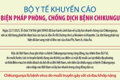Bộ Y tế khuyến cáo các biện pháp phòng, chống dịch bệnh Chikungunya do muỗi lan truyền