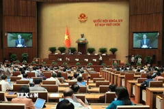 Phó Chủ tịch Quốc hội Nguyễn Đức Hải điều hành phiên họp. (Ảnh: An Đăng/TTXVN)