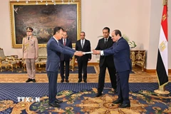 Đại sứ Nguyễn Nam Dương trình Quốc thư lên Tổng thống Ai Cập Abdel Fattah Al-Sisi. (Ảnh: TTXVN phát)