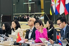 Đại sứ Tôn Thị Ngọc Hương, Trưởng Phái đoàn đại diện thường trực Việt Nam tại ASEAN chủ trì Cuộc họp. (Ảnh: Đỗ Quyên/TTXVN)