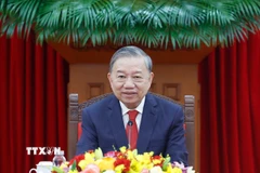 Tổng Bí thư Tô Lâm điện đàm với Tổng Bí thư, Chủ tịch nước Cộng hòa Nhân dân Trung Hoa Tập Cận Bình. (Ảnh: Thống Nhất/TTXVN)