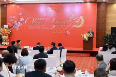 Đồng chí Lê Hoài Trung, Bí thư Trung ương Đảng, Bộ trưởng Bộ Ngoại giao phát biểu tại buổi gặp mặt. (Ảnh: An Đăng/TTXVN)