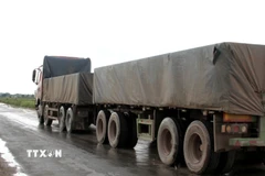 (Ảnh minh họa: Văn Tý/TTXVN)
