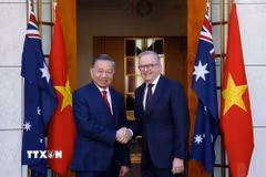 Tổng Bí thư, Chủ tịch nước Tô Lâm gặp hẹp Thủ tướng Australia Anthony Albanese. (Ảnh: Thống Nhất/TTXVN)