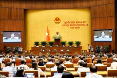 Quang cảnh phiên họp. (Ảnh: Doãn Tấn/TTXVN)