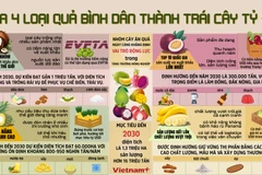 Vì sao 4 loại quả bình dân này được kỳ vọng có thể trở thành ngành hàng tỷ đô