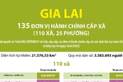 Thông tin chi tiết sắp xếp các đơn vị hành chính cấp xã của tỉnh Gia Lai