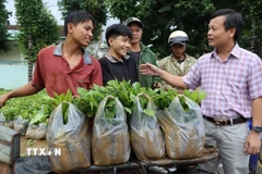 Số cây giống được tiếp nhận tại Đại hội. (Ảnh: Cao Nguyên/TTXVN)