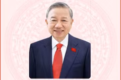 Tiểu sử tóm tắt của Tổng Bí thư, Chủ tịch nước Tô Lâm